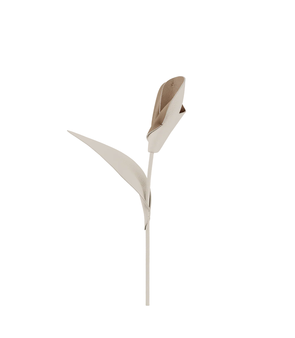 Pili Flower - Chalk